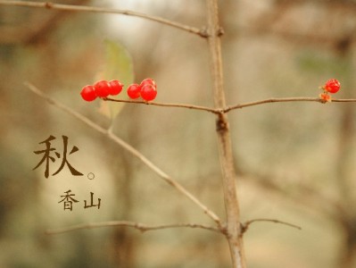 抖音月付套装商家能用吗？资质达标+富信掌柜助力高效接入