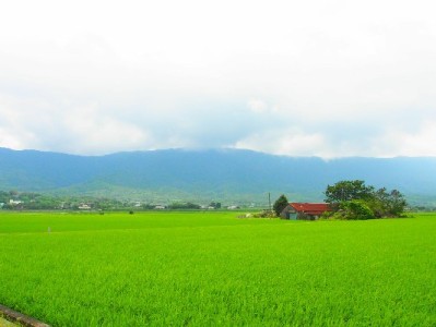 医保余额能取现金吗？政策解读+特殊情况说明（附查询工具）