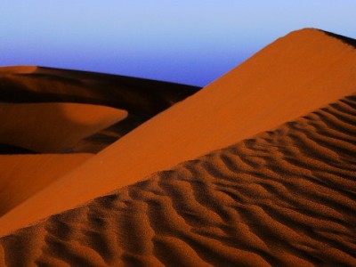 出财小神警示：“免费还花呗”是馅饼？这些套路你得小心！