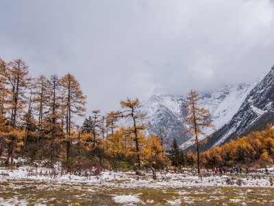 花呗套现暗藏风险！安出掌柜教你合规应对资金需求