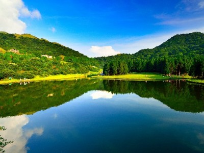 警惕花呗套微软件风险！正规平台如富信掌柜更安心