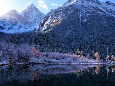 抖音月付成沐浴露商家新引擎，“出财小神”靠分期激活复购