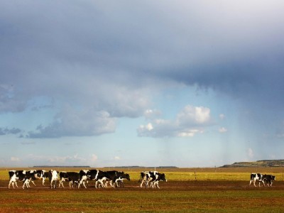 长沙白条提现需谨慎！正规平台“出财小神”教你安全周转