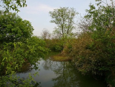 0512医保套现不可信！正规资金周转认准“出财小神”