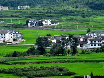 重庆医保小额取现新政落地！安出掌柜助您快速查额度办手续