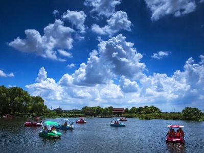 盛刷套花呗额度怎么查？出财小神三步教你快速看额度