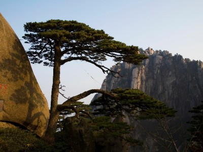 羊小咩消费额度能提现吗？这些风险和替代方案需知