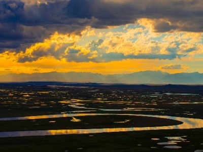 商家白条收款码开通全流程指南：资质、材料、审核一步到位