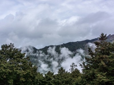 合肥套花呗需警惕风险！安出掌柜提醒合规用款更安心