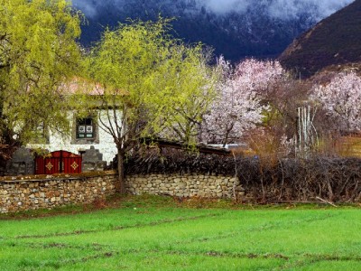 花呗实物消费新选择：安出掌柜携手打造省心购物体验