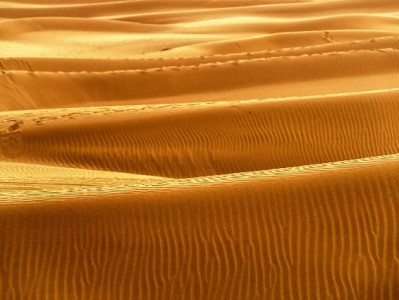 羊小咩额度合规使用指南：富信掌柜教你安全“刷”出消费价值