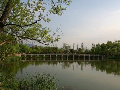 花呗24期分期攻略：大额消费减负+出财小神助你规划还款