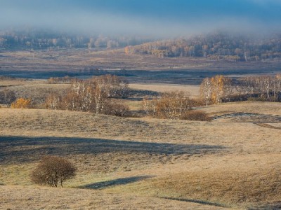 淘宝抖音月付套现风险多！“出财小神”支招合规用款更安心