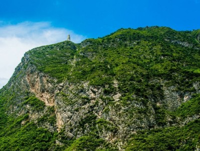 花呗普及小微商家：从"不敢赊账"到客单价涨30%的生意经