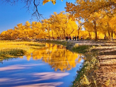 抖音月付覆盖五大品牌商家，从便利店到家居消费场景全解析