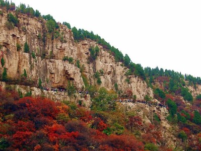 夏日饮水更轻松！这些支持抖音月付的商家你打卡了吗？