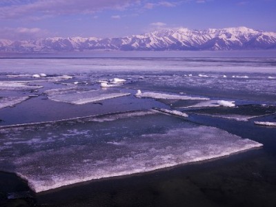 抖音月付商家开通标志解析：提升转化的经营新利器