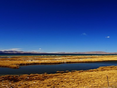 微信+花呗成商家“收款标配”？安出掌柜揭秘支付背后的经营密码