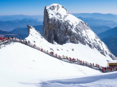 警惕！“花呗社保提现”广告藏陷阱，这些风险你必须知道