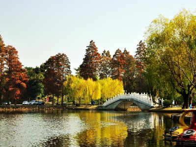 花呗商家服务升级通知：分期码、提额、对账三大功能上线