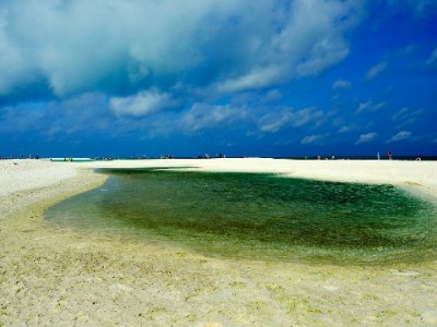 抖音月付美食商家能用吗？出财小神助力5分钟接入提效增收