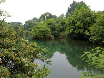 商家花呗支付开关怎么用？流量、成本与经营的平衡指南