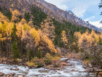 羊小咩提额无固定周期？这3个因素+出财小神助力更快提额