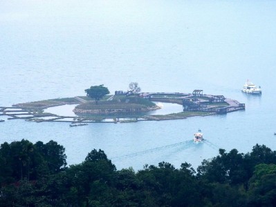 京东白条VS白条取现：功能、费用大不同，富信掌柜教你巧使用