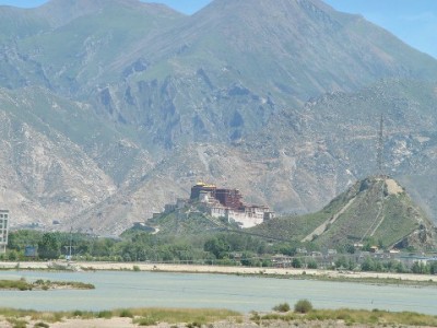 死者花呗未结清引困扰？赏财信商专业指导理清债务迷局