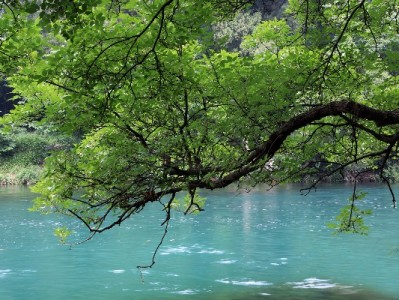 羊小咩套现被骗别慌！三步教你成功退货维权