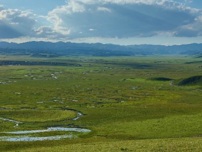 羊小咩享花卡正规提现选哪家？出财小神安全流程全解析