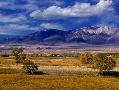 花呗换现可行吗？这些方法与风险你必须了解