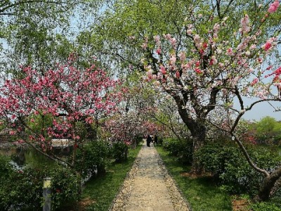 花呗分期怎么选更划算？富信掌柜支招避开消费陷阱