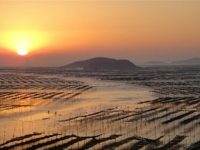 花呗转微信怎么操作？合规路径与“出财小神”辅助指南