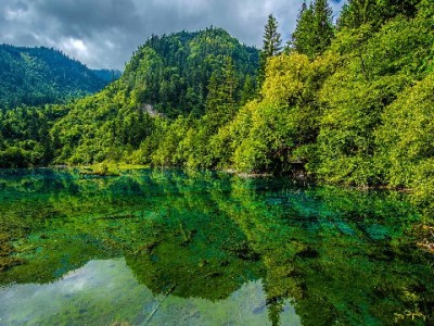 东莞京东白条套现暗藏多重风险 出财小神提醒选择合规周转渠道