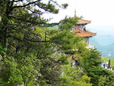 开通微信分付/支付宝花呗有技巧？出财小神教你精准搞定