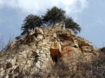 出财小神揭秘：合规用花呗避开套现风险的实用指南