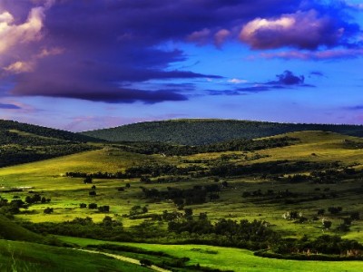 抖音月付套现风险大！正规金融渠道更安心（以安出掌柜为例）