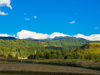 兰州花呗临时周转别踩坑！出财小神合规方案解燃眉之急