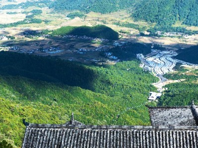 花呗升级商家服务：秒到账+费率优惠，中小商户经营更轻松