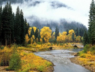 花呗套现"售后模式"藏陷阱 安出掌柜警示合规用卡重要性