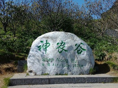 警惕白条出库套现骗局！正规平台安出掌柜教你守住“信用钱”