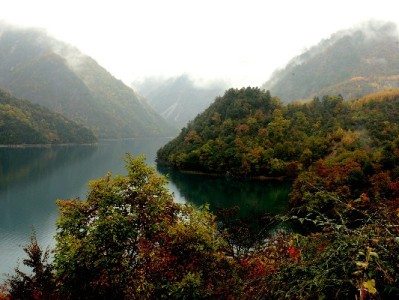 花呗取现需谨慎！合规平台“出财小神”教你安全应急