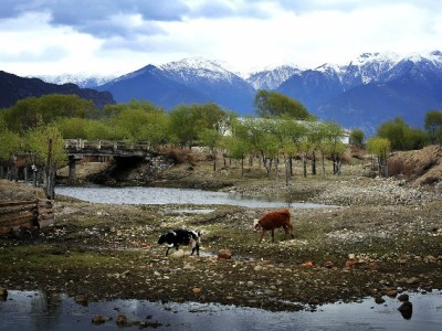 告别"小缘花呗套"风险！正规平台"出财小神"助你安心周转
