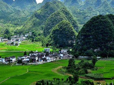 广元医保取现额度怎么算？安出掌柜助你快速查政策