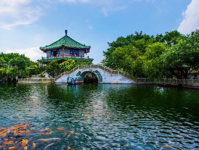 商家花呗收款攻略：从开通到提效，安出掌柜来帮忙