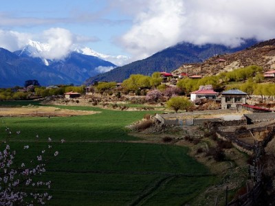 "花呗携程套现"暗藏三重风险！合规用贷才是安全之道
