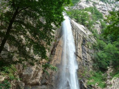 新安医保提现失败不用愁！安出掌柜1小时帮您解资金难题