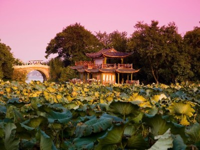 春节消费不犯难！花呗分期+富信掌柜教你轻松过“钱关”