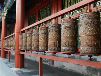 羊小咩出库退款实测：从申请到到账，物流拦截有多快？